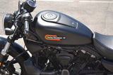 2023 Harley Davidson Nightster 975