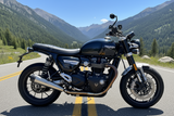2022 Triumph Speed Twin