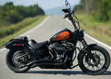2019 Harley Davidson Street Bob 107