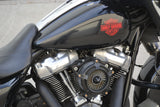 2019 Harley Davidson Electra Glide Standard
