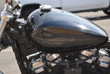 2022 Harley Davidson Softail Standard 107