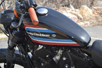 2021 Harley Davidson Sportster 1200 Iron
