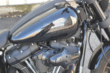 2023 Harley Davidson Low Rider S 117