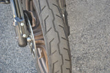 2023 Harley Davidson Low Rider ST 117