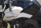2022 CF MOTO 650NK