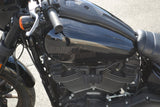 2023 Harley Davidson Low Rider S 117