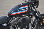 2021 Harley Davidson Sportster Iron 1200