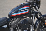 2021 Harley Davidson Sportster Iron 1200