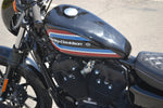 2021 Harley Davidson Sportster Iron 1200