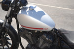 2019 Yamaha Bolt R Spec
