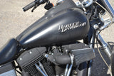 2009 Harley Davidson Street Bob