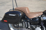 2020 Harley Davidson Softail Standard