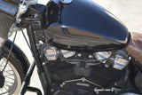 2020 Harley Davidson Softail Standard