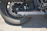 2022 Harley Davidson Low Rider ST 117