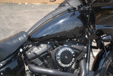 2022 Harley Davidson Low Rider ST 117