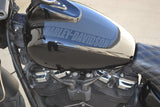2018 Harley Davidson Fat Bob