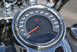 2021 Harley Davidson Sport Glide 107