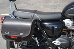 2022 Triumph Bonneville T100