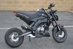 2019 Kawasaki Z125
