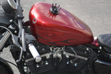 2017 Harley Davidson Sportster 883 Iron Bobber
