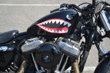 2021 Harley Davidson Sportster 1200 Forty Eight