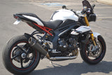 2013 Triumph Speed Triple 1050 R