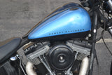 2011 Harley Davidson Blackline