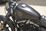 2020 Harley Davidson Sportster Iron 883