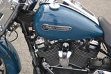 2021 Harley Davidson Freewheeler