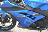 2017 Kawasaki Ninja 300