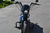 2022 Harley Davidson Sportster 883 Iron