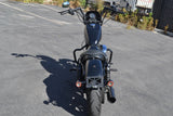2022 Harley Davidson Sportster 883 Iron
