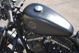 2022 Harley Davidson Sportster 883 Iron