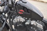 2022 Harley Davidson Sportster Forty Eight - 1200