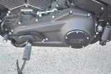 2023 Harley Davidson Low Rider ST