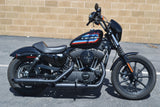 2021 Harley Davidson Sportster 1200 Iron