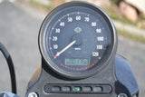 2014 Harley Davidson Sportster 883 low