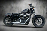 2014 Harley Davidson Sportster 1200 Forty Eight