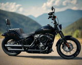 2019 Harley Davidson Street Bob