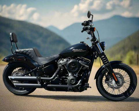 2019 Harley Davidson Street Bob