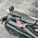 2021 Harley Davidson Sportster S