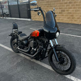 2021 Harley Davidson Street Bob 114