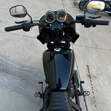 2020 Harley Davidson Low Rider S