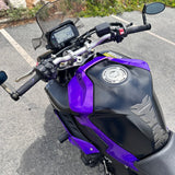 2017 Yamaha FZ-10