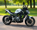 2017 Kawasaki Z650