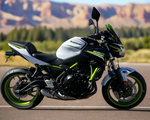 2021 Kawasaki Z650
