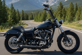2013 Harley Davidson Dyna Street Bob