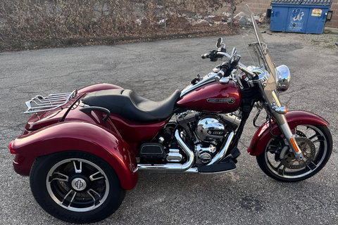 2016 Harley Davidson Freewheeler