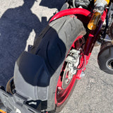 2024 Indian FTR R Carbon