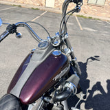 2008 Harley Davidson Street Bob